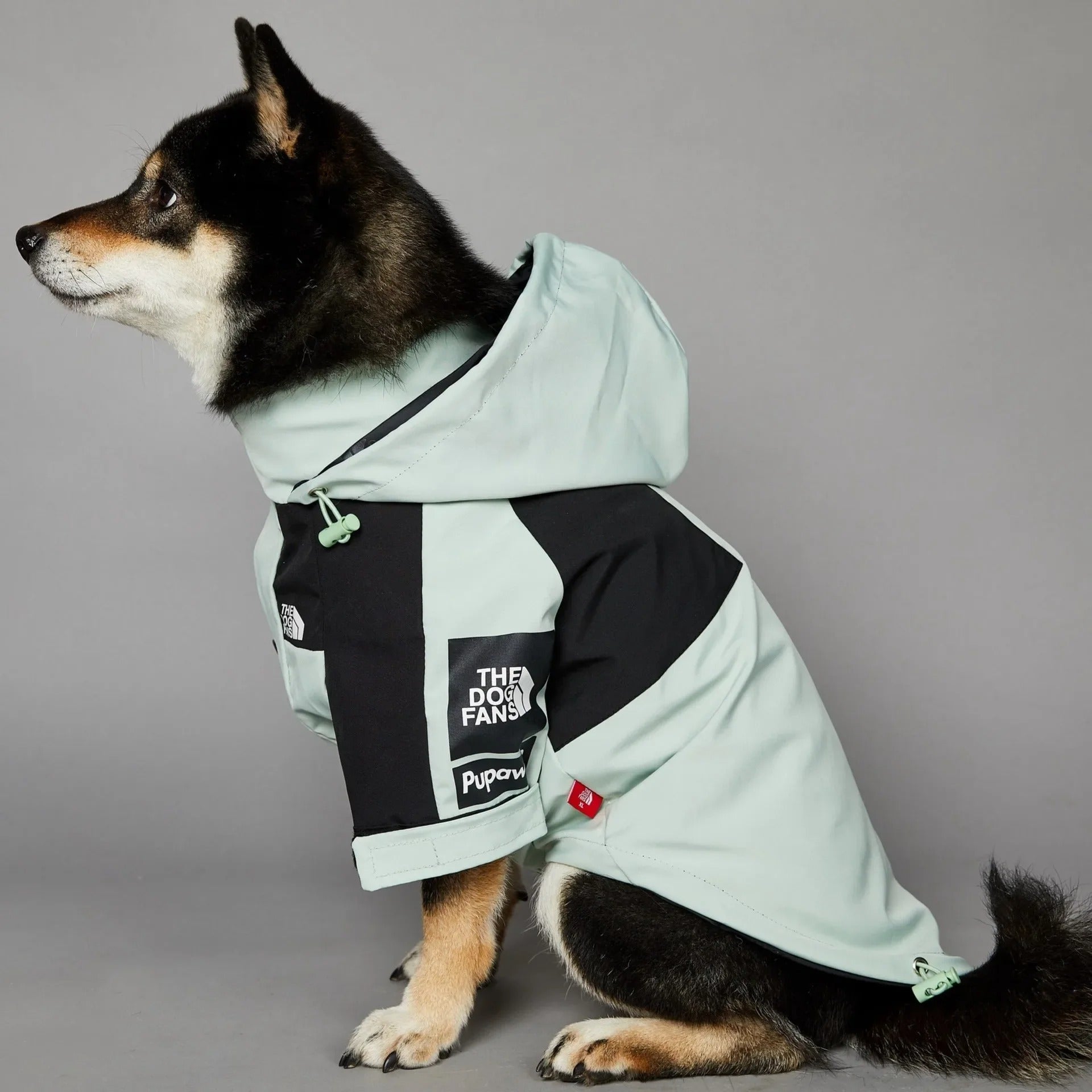 Jacket cortavientos DogFans Mountain Quest