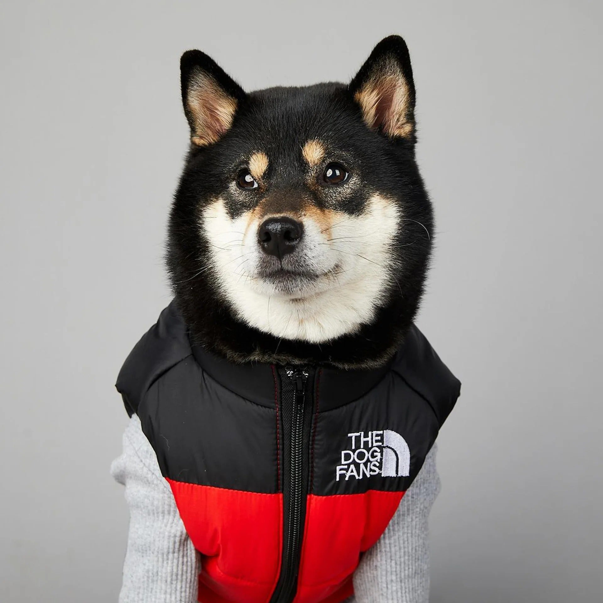 Chaqueta Dogfans Puffer Manga Corta